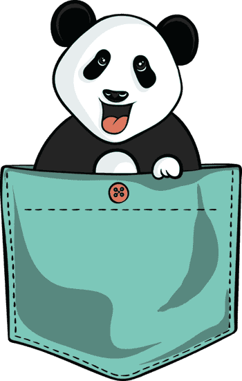 Panda v kapse